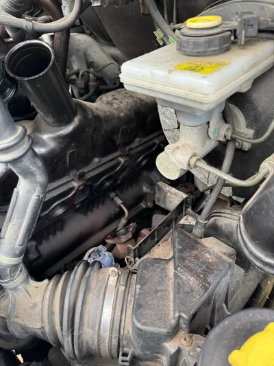 Motor · ohne Krümmer